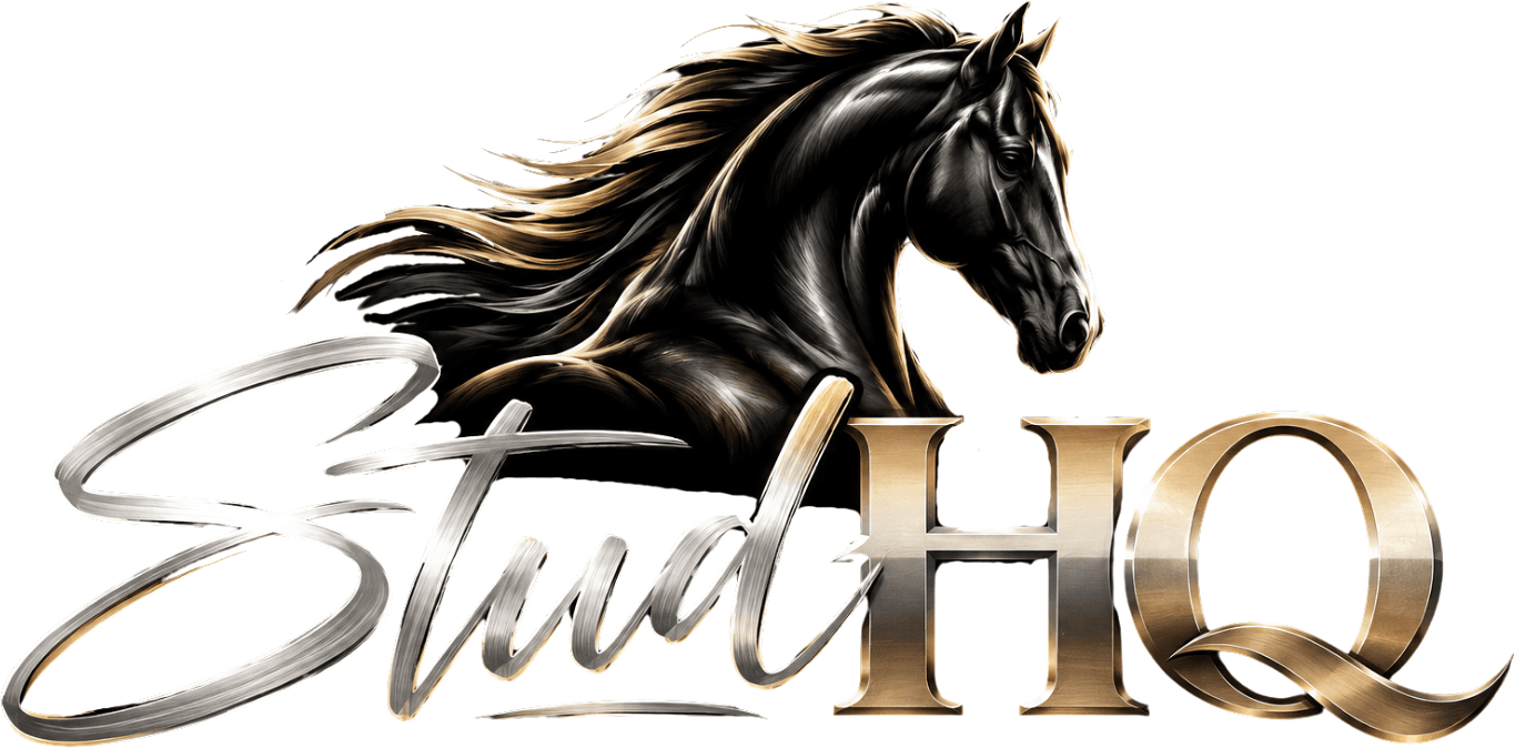 StudHQ